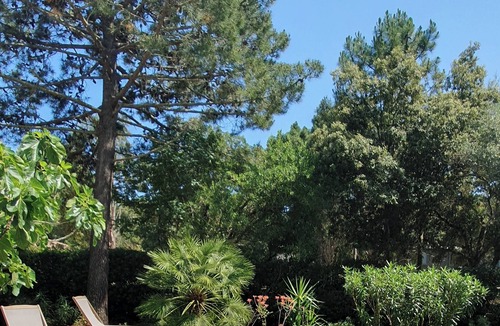 Porto-Vecchio House | Villa , privat HEATED POOL, beach 235 m away, Porto-Vecchio