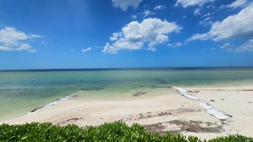 Chicxulub Puerto Apartment | Villas Aakal Petirojo