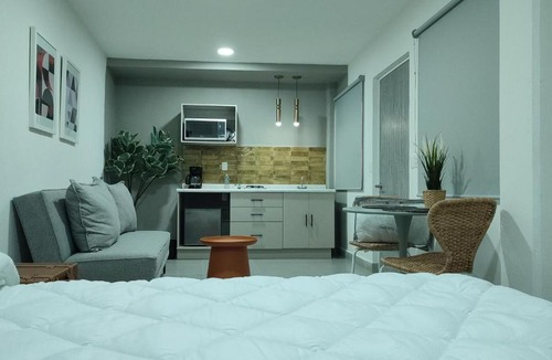 Leon Centro Apartment | WUER Expiatorio