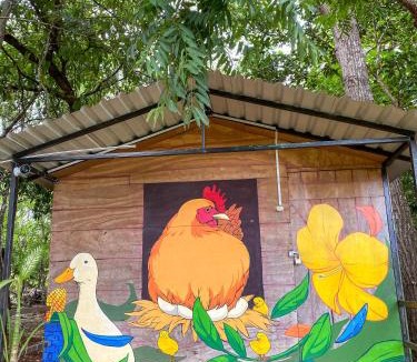 Valladolid Other | Xkopek, Camping y Cabañas