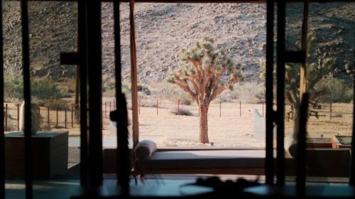 Joshua Tree Villa | Zenity Joshua tree