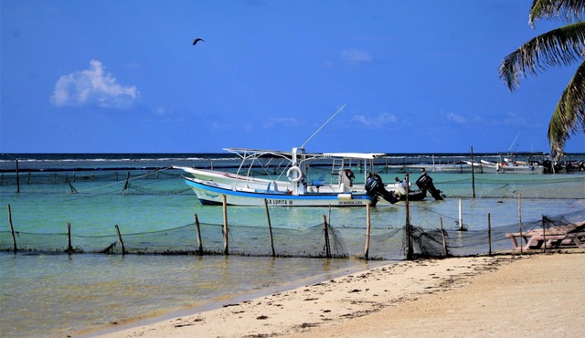 8 minute drive to the Punta Playa, beautiful 2 bedroom fully furnished Villan