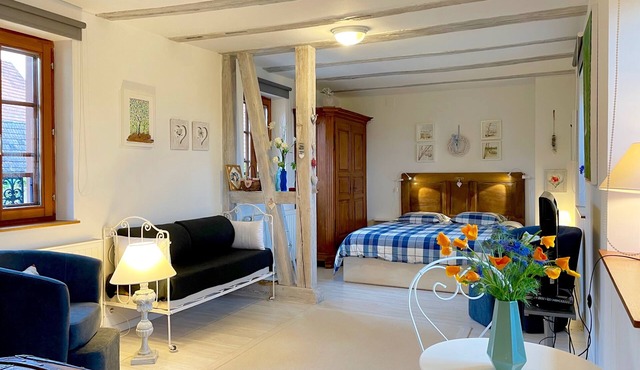 Adorable little typical Alsatian house, free wifi