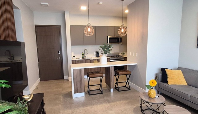 Air Conditioned Condo in Plaza Alameda Tijuana