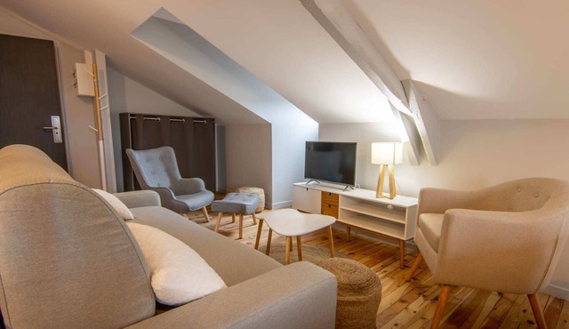 Apartment 6 people air-conditioned family type 2 bedrooms + sofa bed Puy de Dôme 302