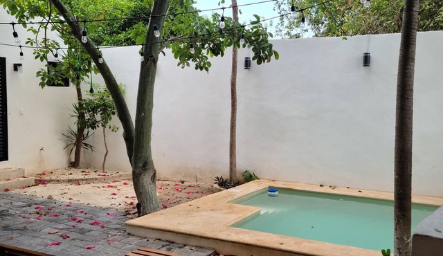 Apartment Palma Comfort in Downtow, Pool