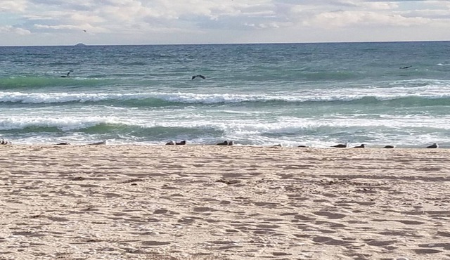 BEACHFRONT 3 BD 3 BATH. Beautifully appointed. High quality beds/mattresses.