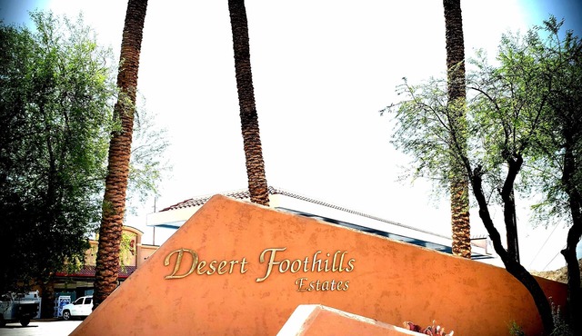 Beautiful Desert Oasis