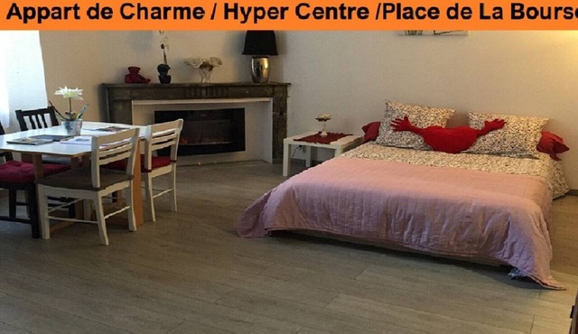 Bordeaux Hyper Center ville Rue Courbin renovated, cozy and bright