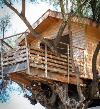 Cabane Dans les Arbres, Domaine de l Ogliastru