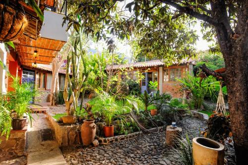 Casa Aurora Garden Retreat
