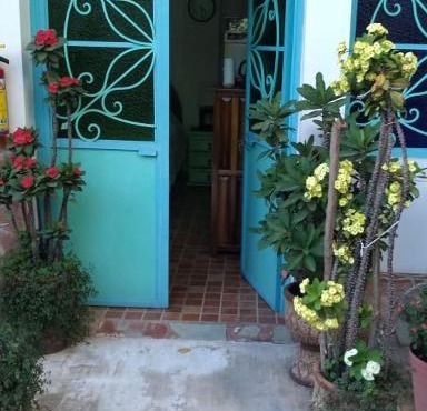 CASA NOVIE