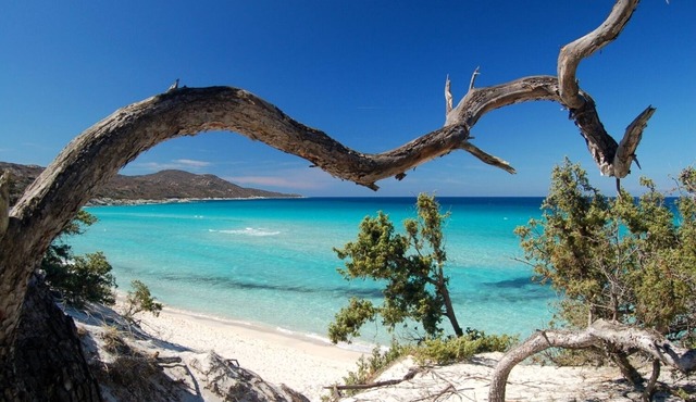 Casa Rêve de mer - Accès Plage de Miomo
