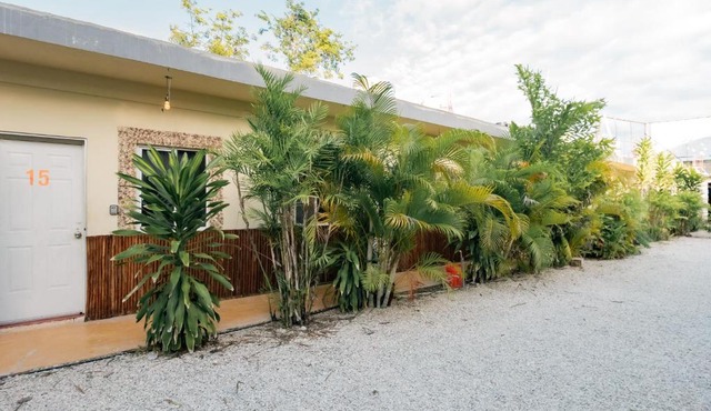 Casa Shalom Green