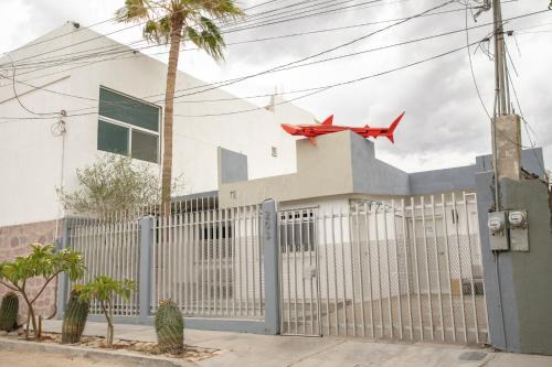Casita Tiburón