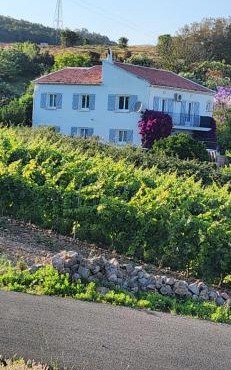 Charmant T3 en rez de jardin d'une villa