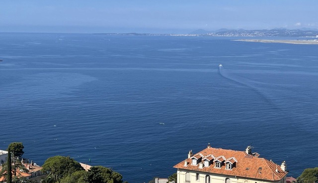 Charming apart in Nice most exclusive area,forest view, terrace,parking