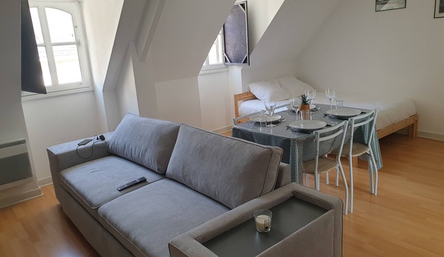 Charming functional studio downtown
