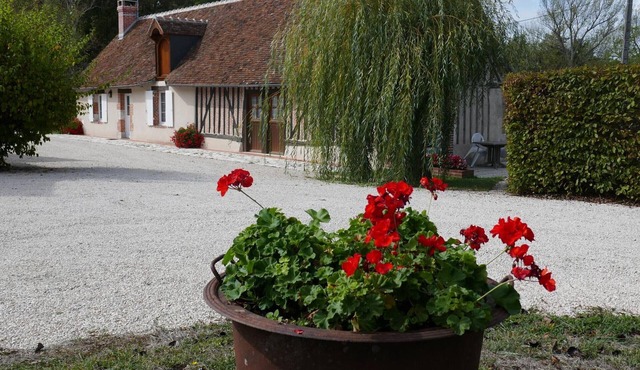 Charming Rustic Cottage with Private Terrace and Pet Allowed