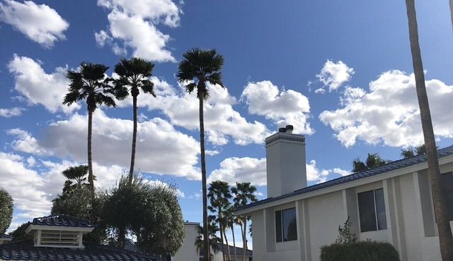 Colorado River Retreat
