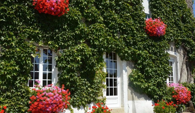Comfortable house in the heart of the Norman bocage with garden and pets allowed