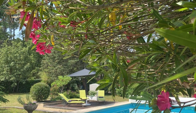 Cottage with pool in ROUSSILLON