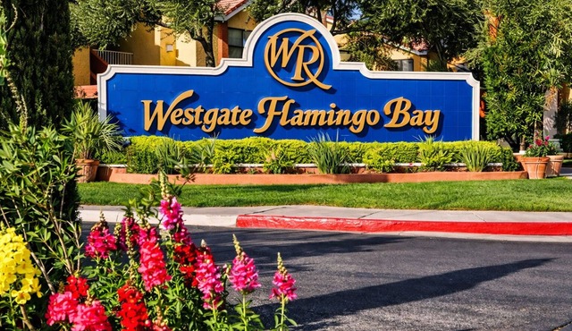 Cozy 1-bedroom hotel with AC in charming Las Vegas