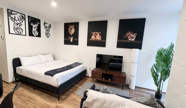 Cozy Furnished Studio in Mexico City