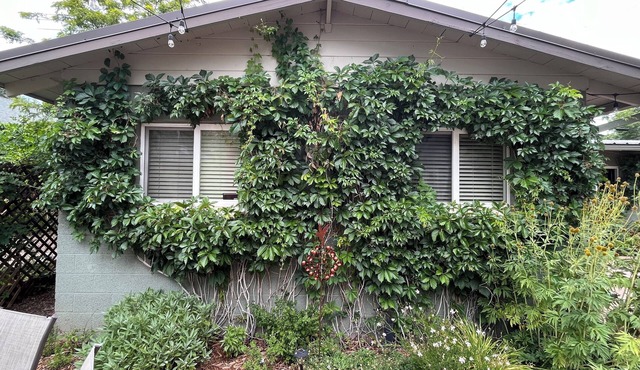 Cozy, Modern Two Bedroom Downtown Flagstaff Cottage for Short or Extended Stays