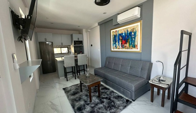 Dog-friendly loft with rooftop infinity pool, gym, balcony, & central AC