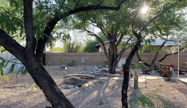 Family and Pet Friendly Desert Haven in Central Tucson