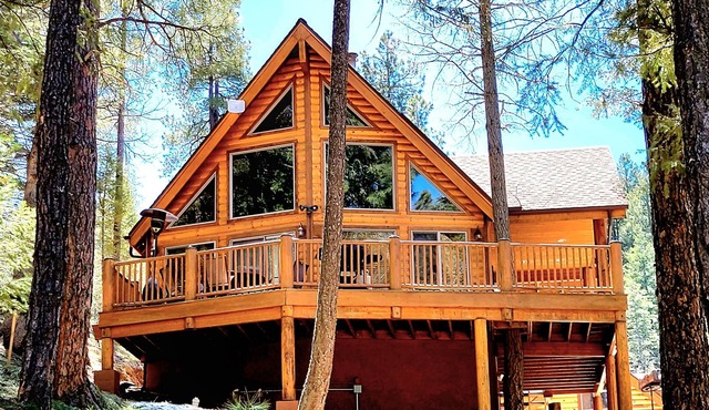 Fox and Owl, AZ: Gorgeous cabin for getaways in the forest!