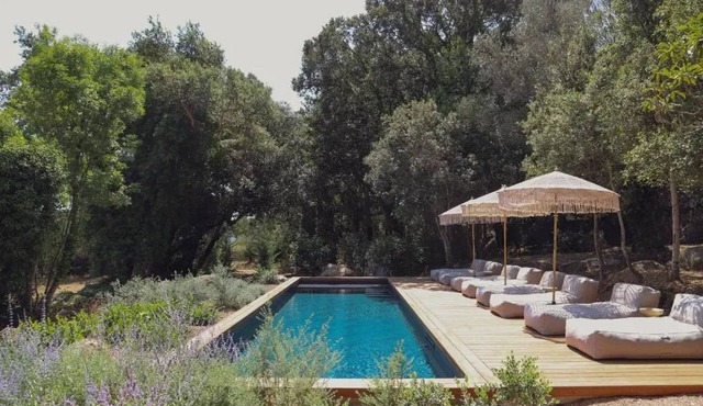 Homerez - Villa in Porto-Vecchio