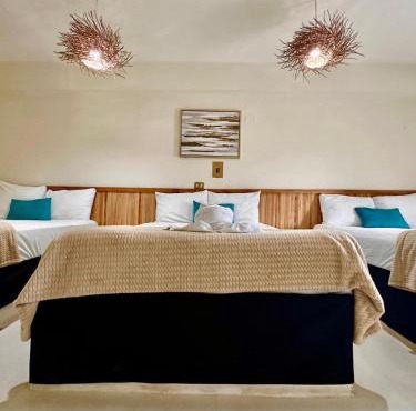 Hotel cacao spa cozumel