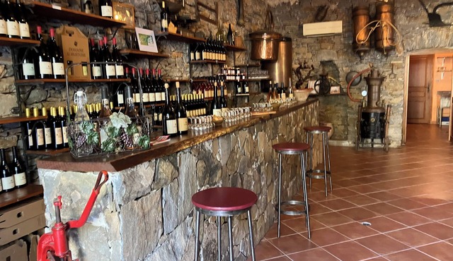 Hotel du Vignoble