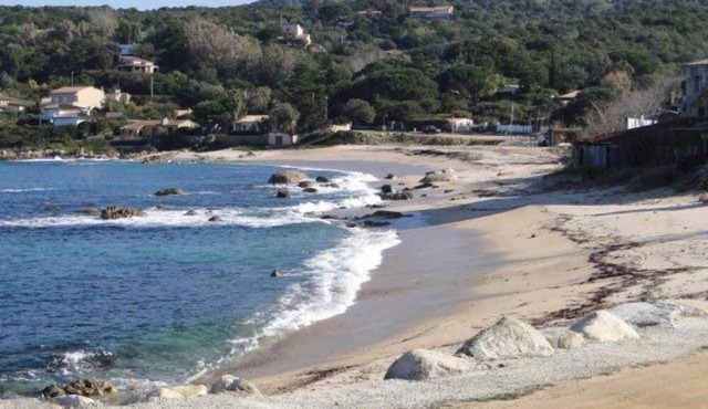 House /Villa - Portigliolo