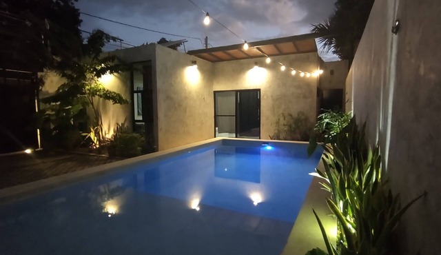 industrial local style 10 min to downtown swimming pool and garage.