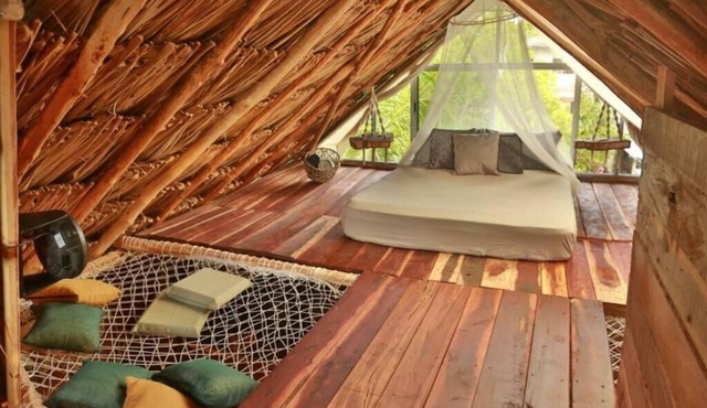 Jungla Bacalar