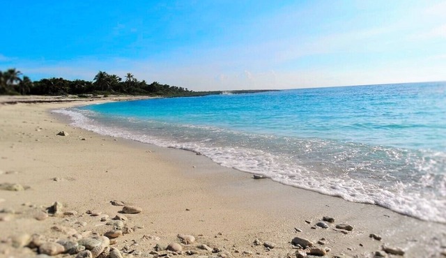 Jungle vibe, with Sea side breezes , EXPERIENCE THE MAYAN RIVIERA