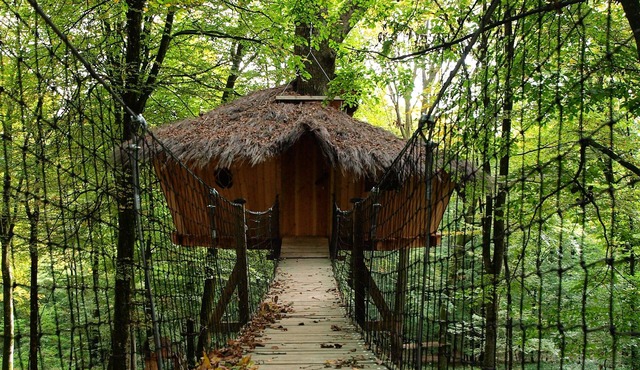 L'Arbre à Cabane