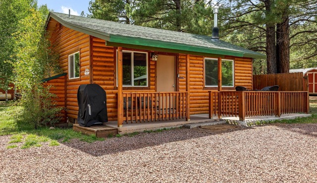 Lazy Trout Willow Cabin