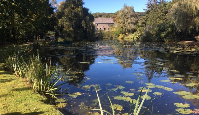 Le Martin-Pecheur-Beautiful countryside private location-15 minutes from beaches