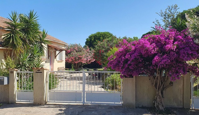 Maison Individuelle, Proche Plage, sur Grand Terrain Arboré