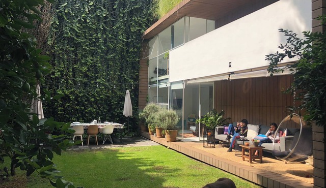 Mexico City Oasis, in the heart of Coyoacan