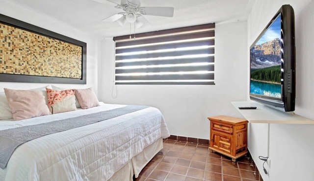 +MS +Suite Confortable +Centrica +Zaragoza +A24