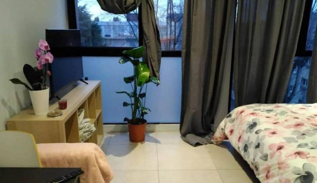 Orchid Studio