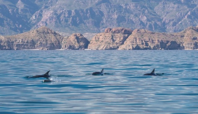Paradise Awaits in Loreto: Luxury, Adventure & Serenity Combined