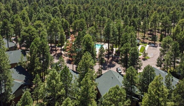 Pinetop | Family Mountain Getaway | Pool + Hot Tub | 2BR Deluxe Condo