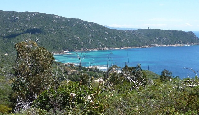 Pretty Garden apartment 350m beach PORTIGLIOLO - South Shore PORTICCIO