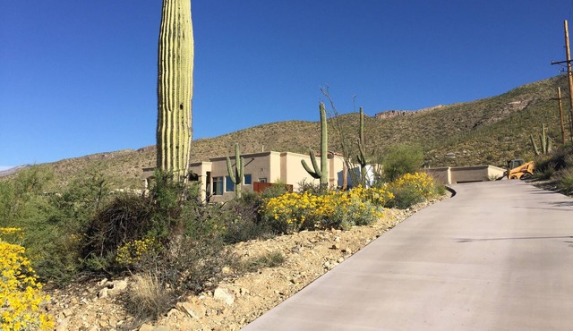 Rare find located on Arizona National Golf Club's 11th Green.